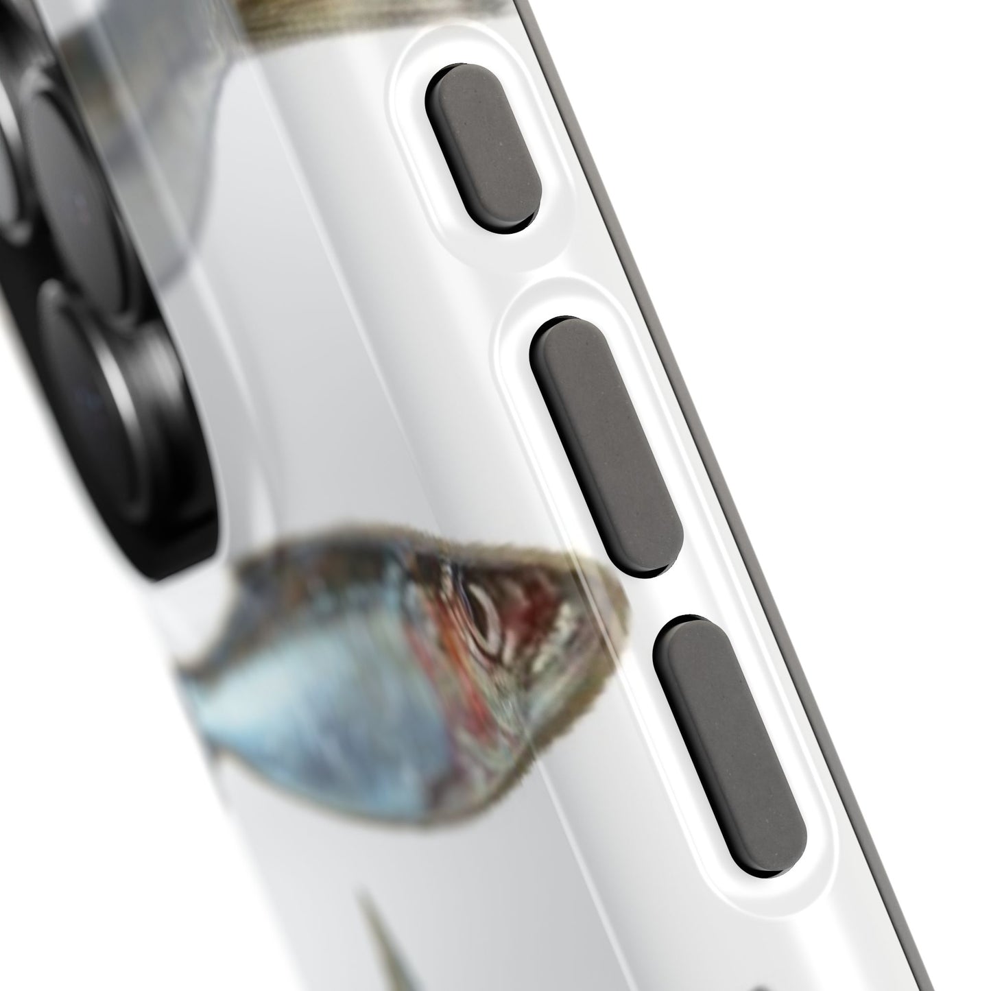 Sardine Club Case