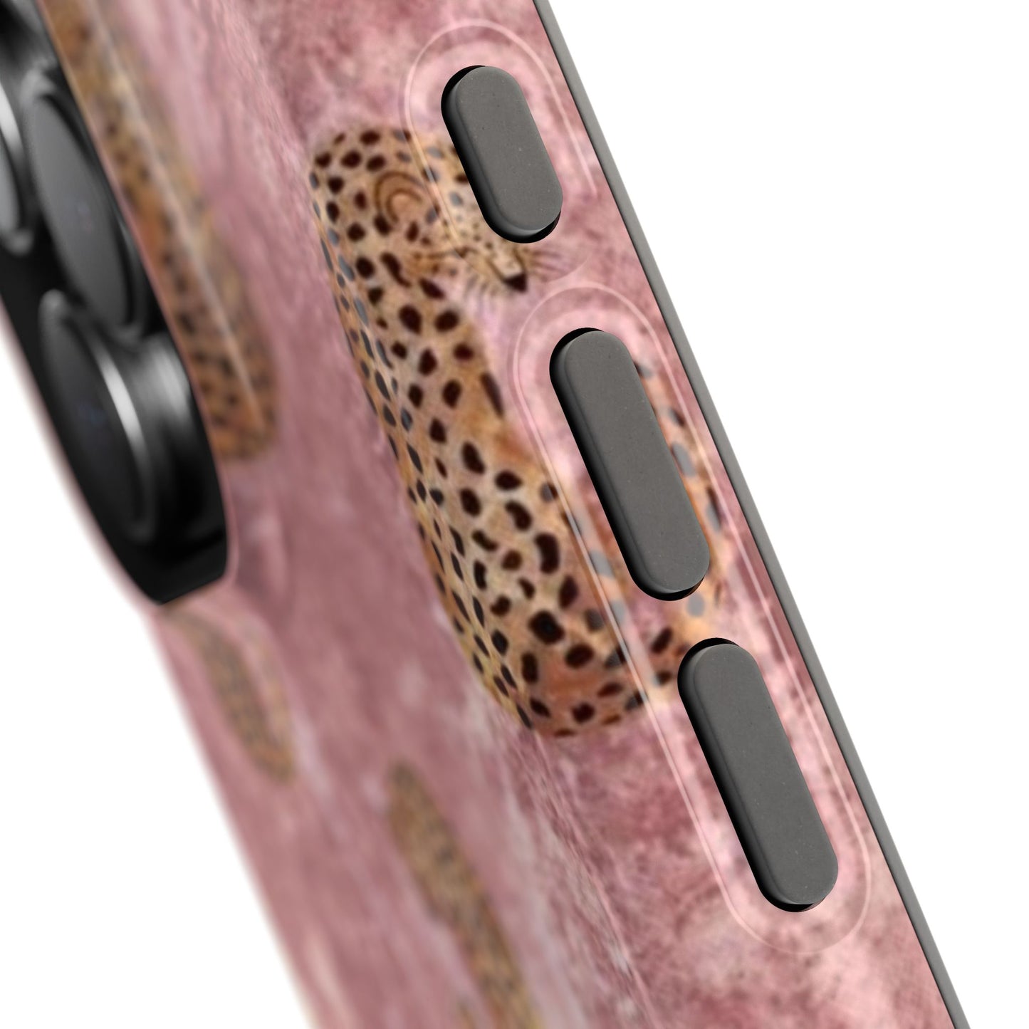 Sweet Tigers Case