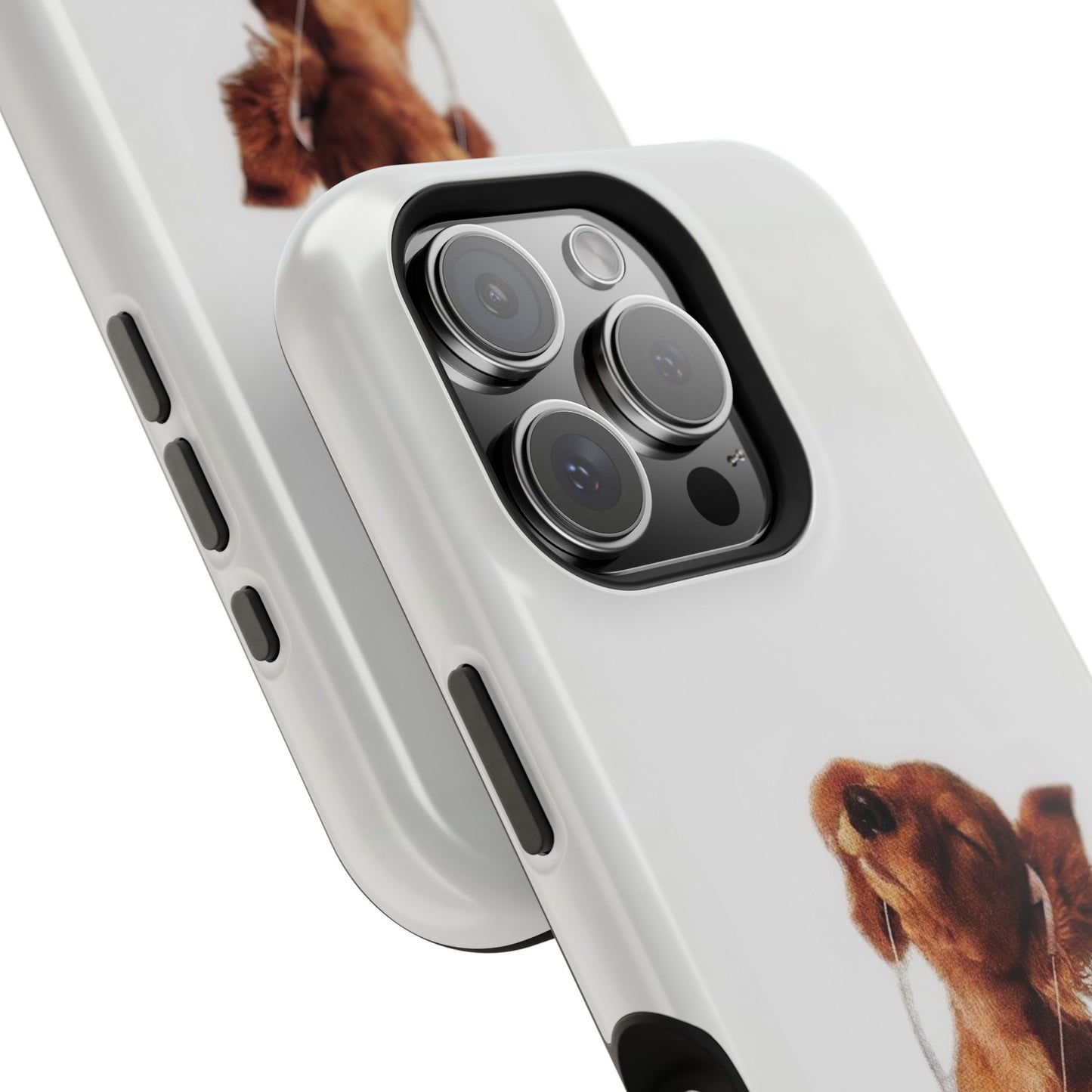 Coco Case