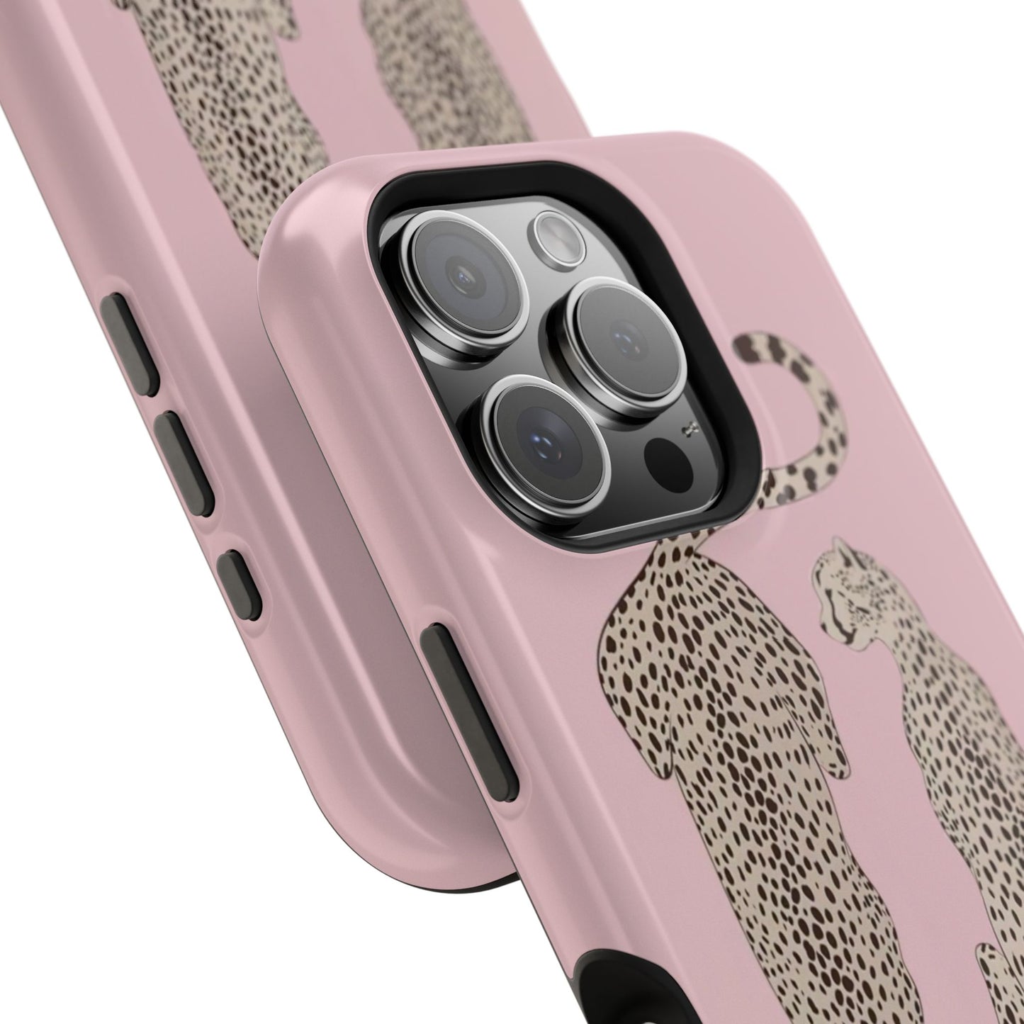 Sisters Case