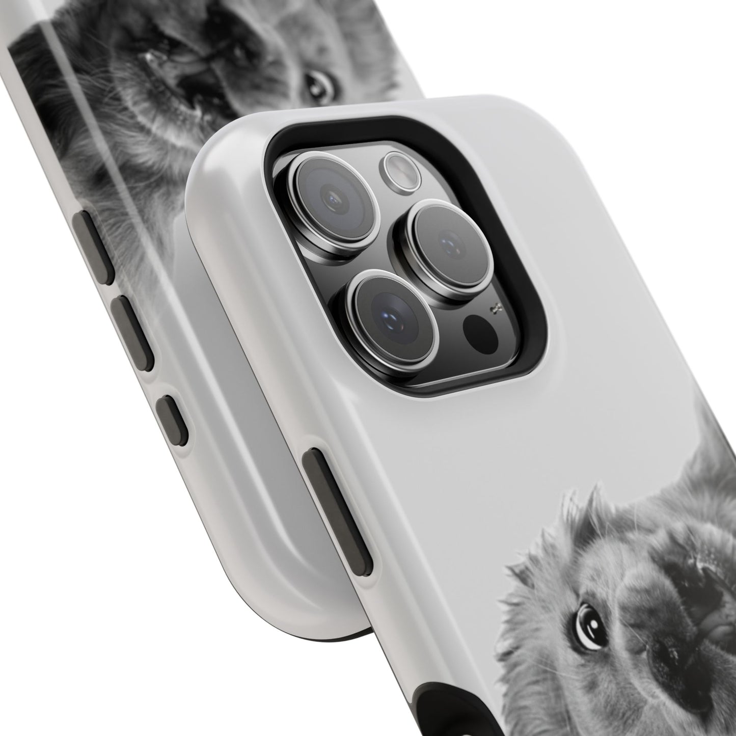 Cookie Case