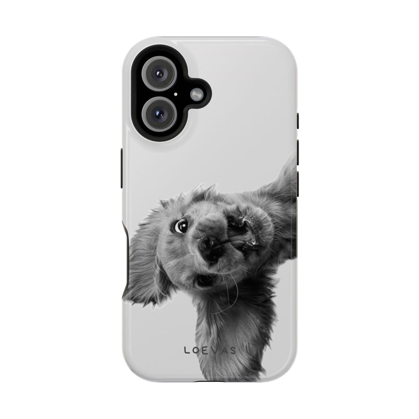 Cookie Case