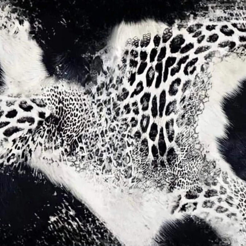 Animal prints