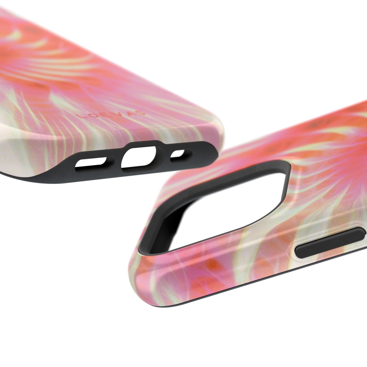 Annecy Case