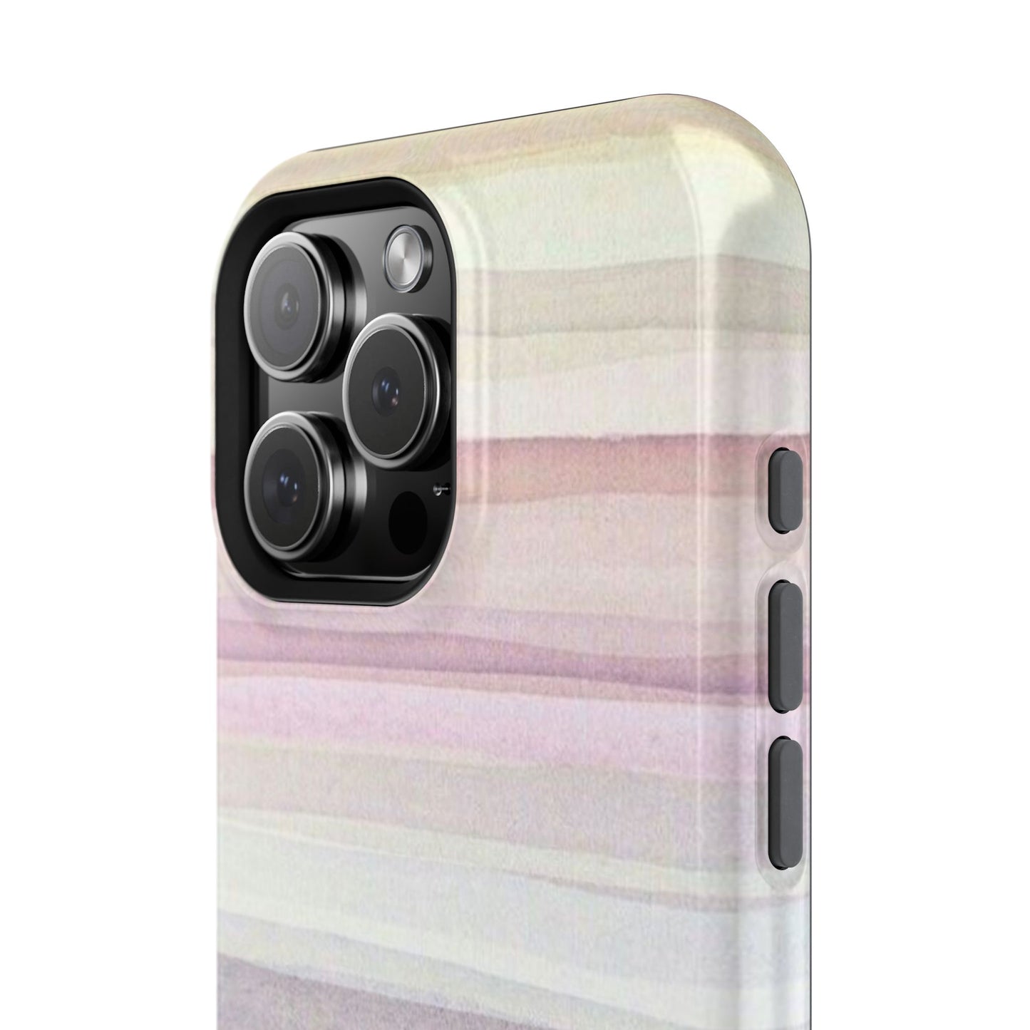 Venise Case