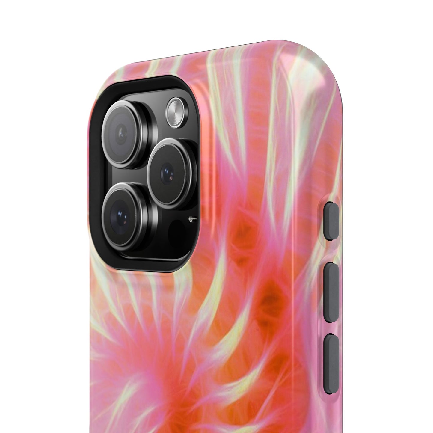 Annecy Case