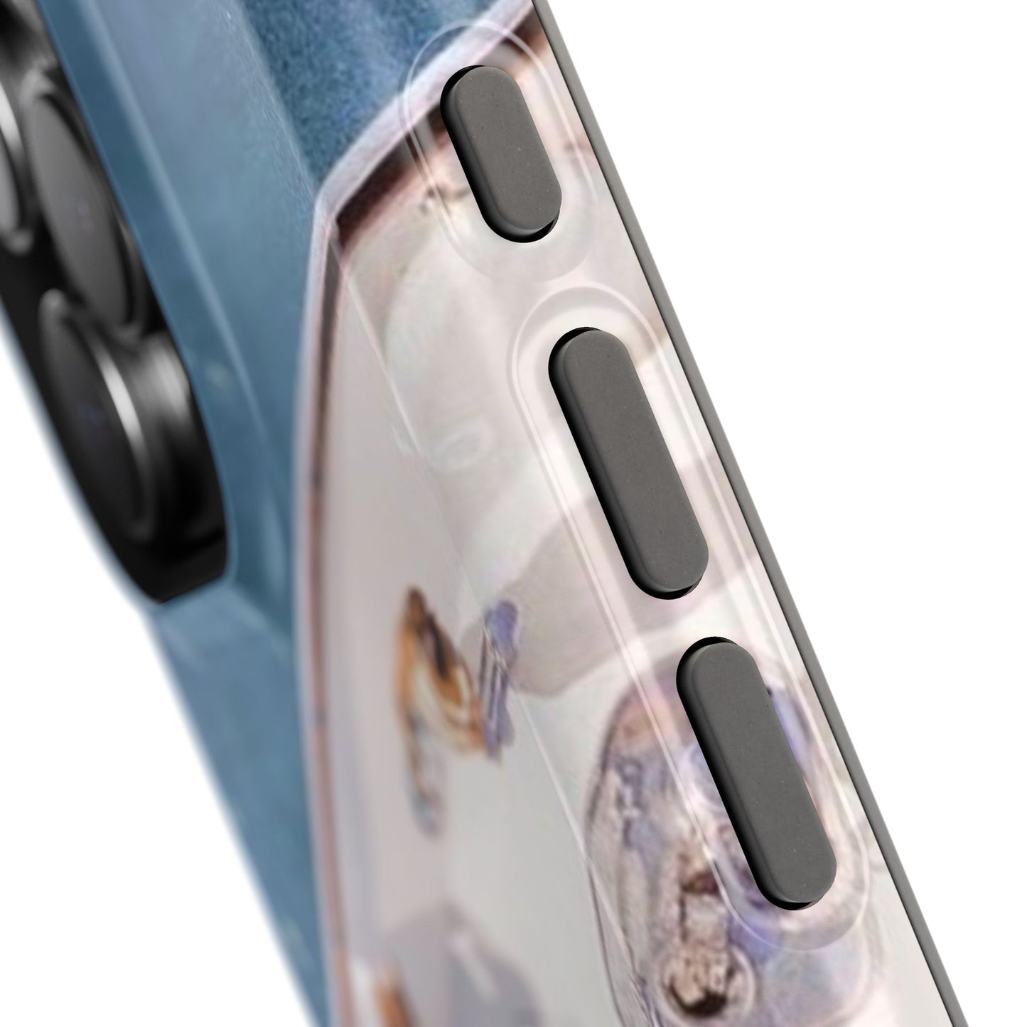 Portofino Case