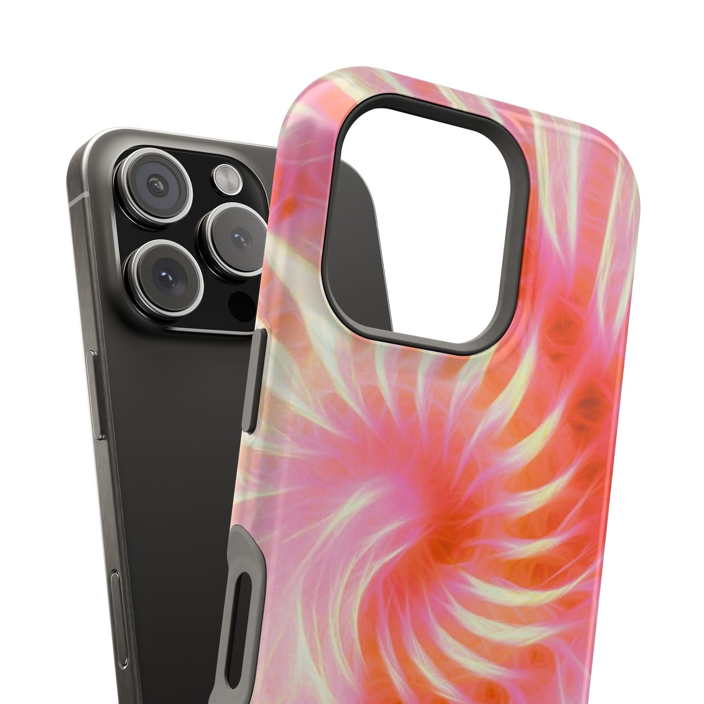 Annecy Case