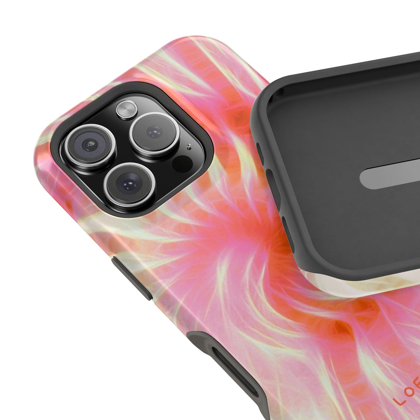 Annecy Case