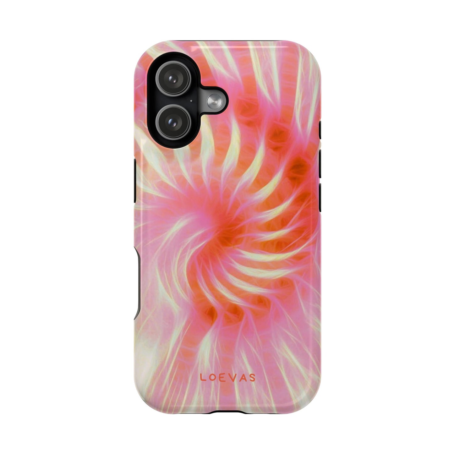 Annecy Case