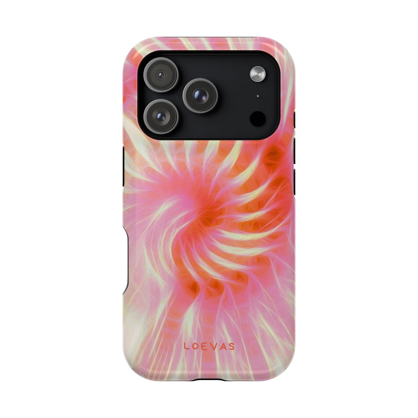 Annecy Case