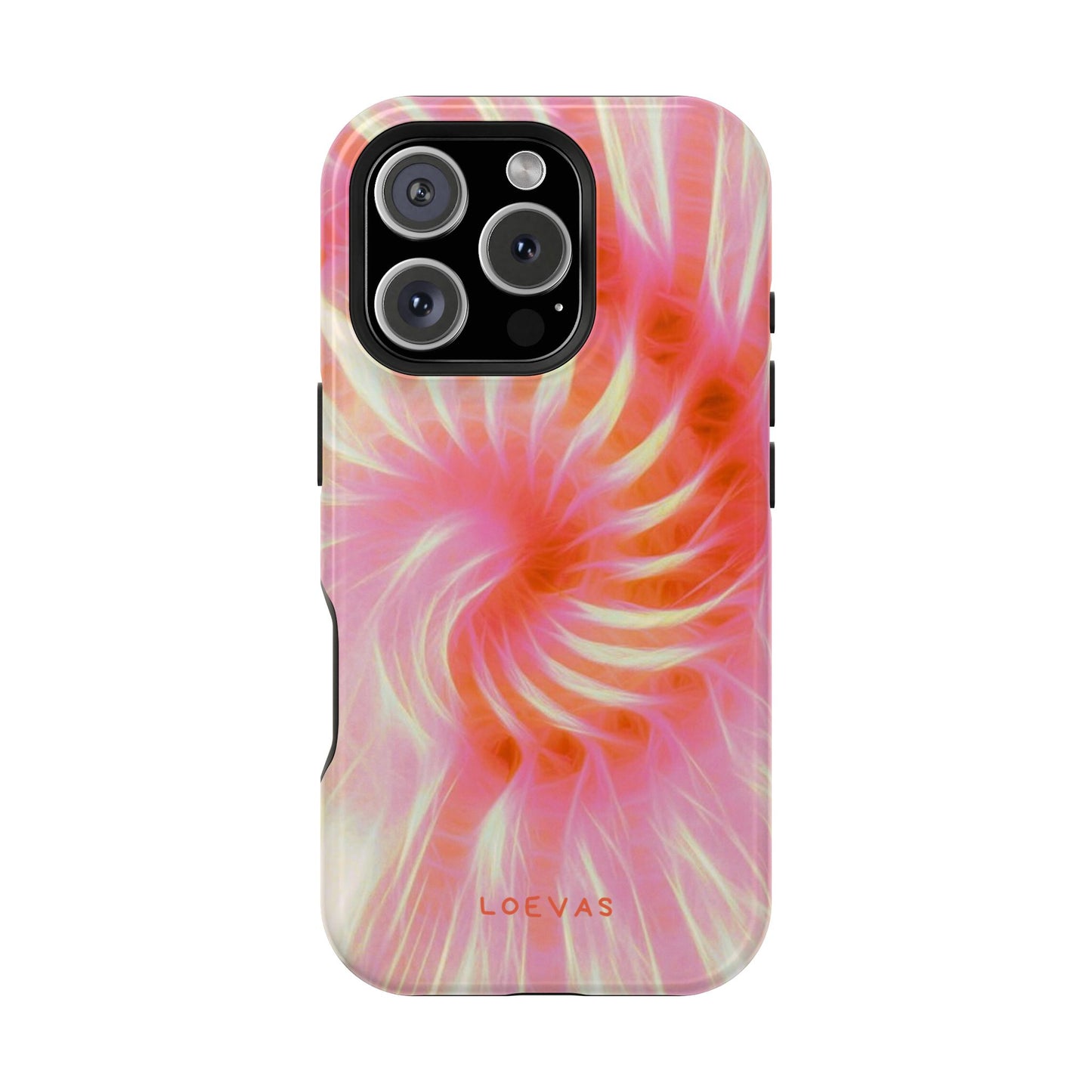 Annecy Case