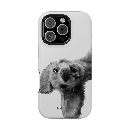Cookie Case