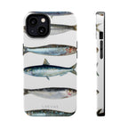 Sardine
