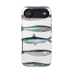 Sardine