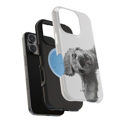 Cookie Case