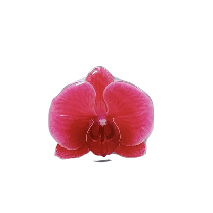 Flower Ring Holder